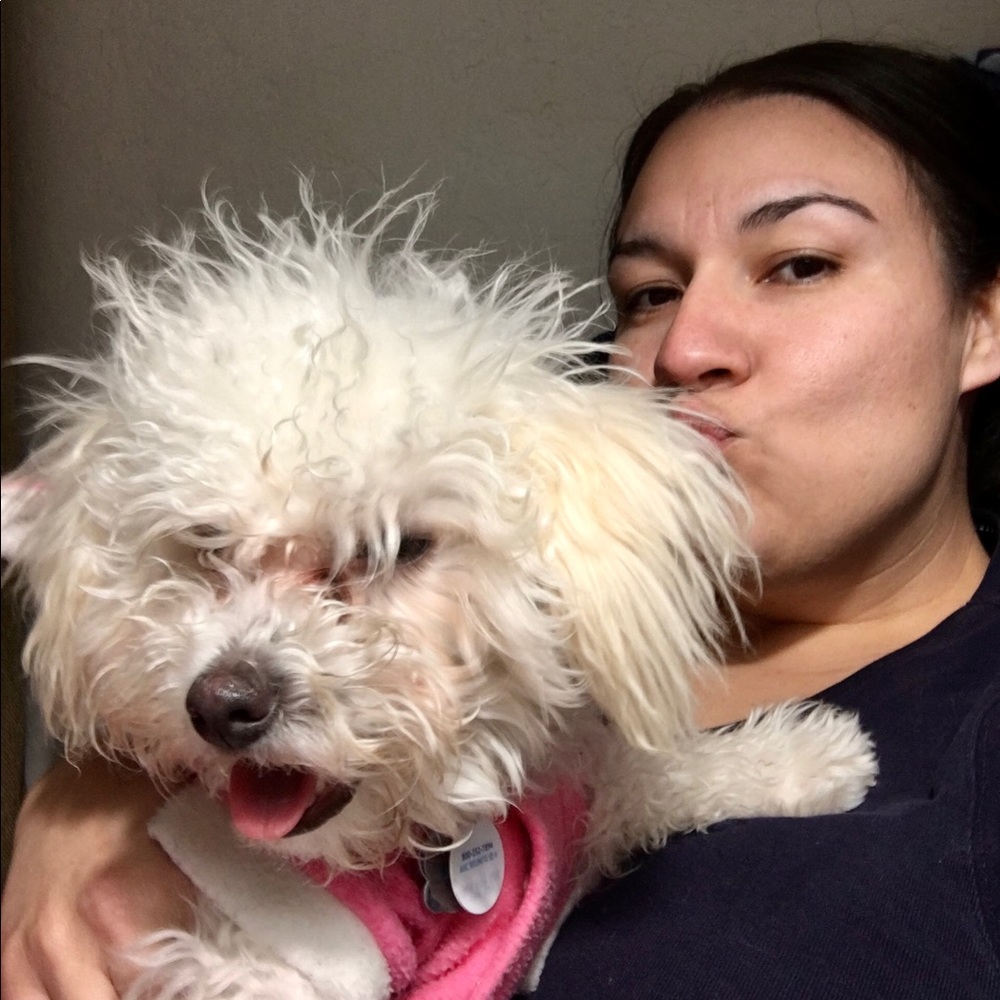 Meet your Posher, Gissel